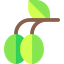 Olives icon 64x64