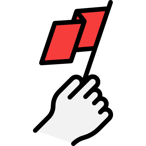 Flag icon