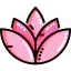 Lotus icon 64x64