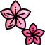 Flower icon 64x64