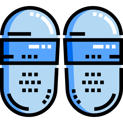 Flip flops icon