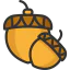 Acorn icon 64x64