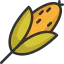 Corn icon 64x64