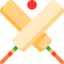 Cricket icon 64x64