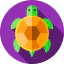 Tortoise icône 64x64