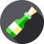 Message in a bottle icon 64x64