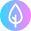 Leaf icon 64x64