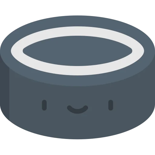 Puck icon