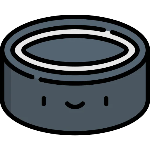 Puck icon