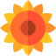Sunflower icon 64x64