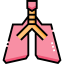 Lungs icon 64x64