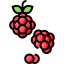 Raspberry 상 64x64