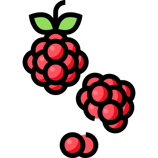 Raspberry icon