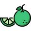 Lime icon 64x64