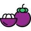 Mangosteen icon 64x64