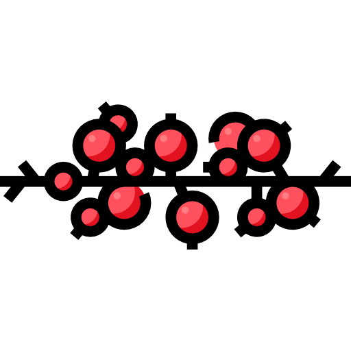 Berries icon