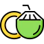 Coconut icon 64x64