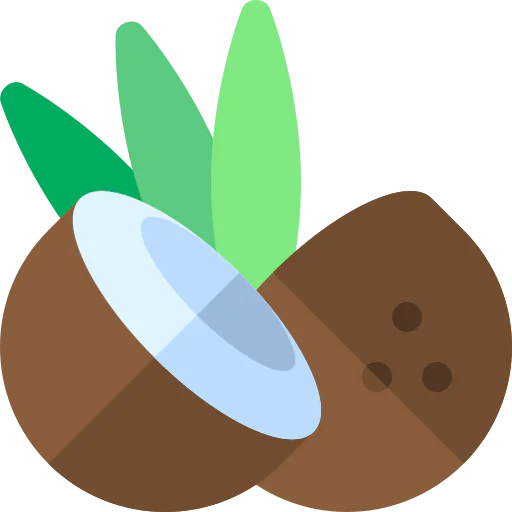 Coconut icon