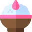 Phirni icon 64x64