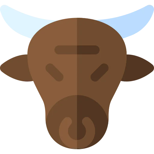 Buffalo icon