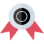 Award Symbol 64x64
