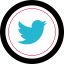 Twitter Symbol 64x64