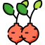 Radish icon 64x64