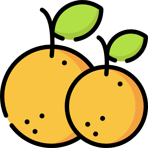 Orange icon