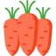Carrots icon 64x64