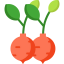 Radish icon 64x64