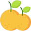 Orange icon 64x64