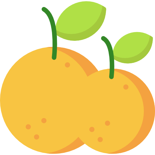 Orange icon