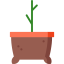 Sprout icon 64x64