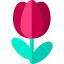 Flower icon 64x64