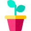 Sprout icon 64x64