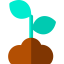 Sprout icon 64x64