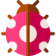 Ladybug icon 64x64