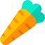 Carrot icon 64x64