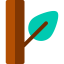 Leaf icon 64x64