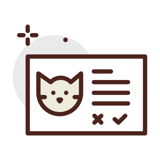Record icon