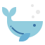 Whale icon 64x64