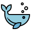 Whale icon 64x64