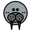 Walrus icon 64x64