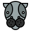 Hippopotamus icon 64x64
