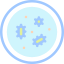 Petri dish icon 64x64