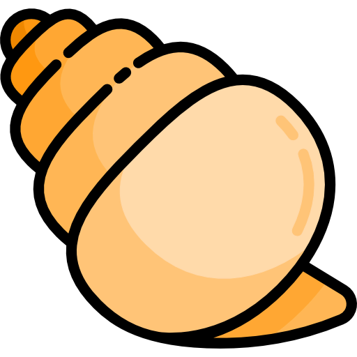 Conch shell icon