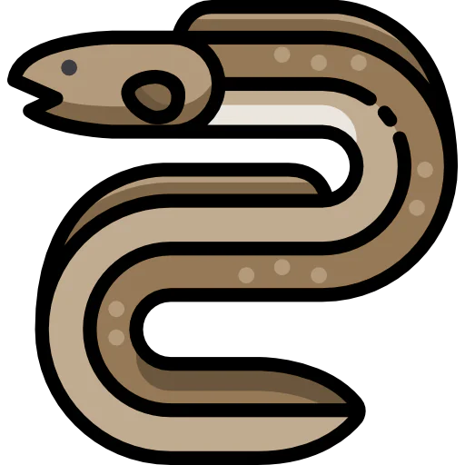 Eel icon
