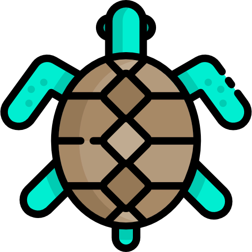 Turtle icon
