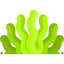 Seaweed icon 64x64