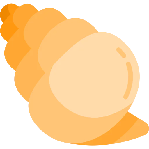 Conch shell icon